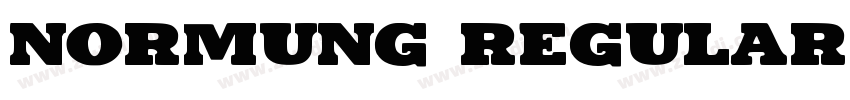 Normung Regular字体转换